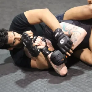 Mixed Martial Arts (MMA)